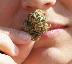 A Cannabis bud is held near a woman's nostrils, and she's smiling subtly.