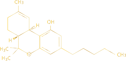 A chemical breakdown of the cannabinoid chemical structure.